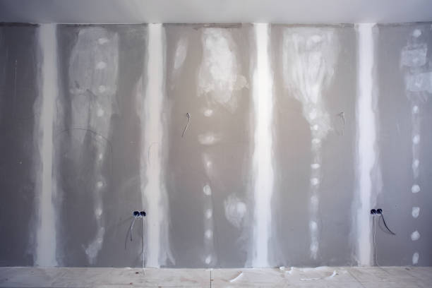 Best Drywall for New Construction  in Maroa, IL